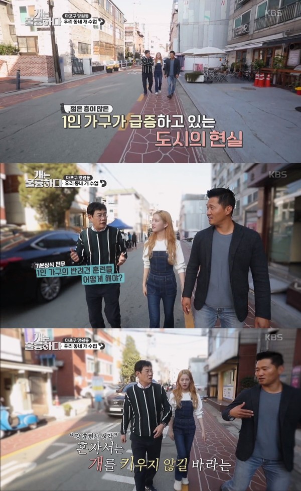 사진=KBS2 '개는 훌륭하다' 화면 캡쳐