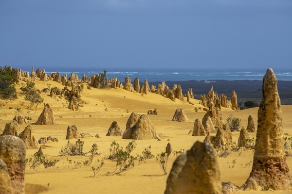 신비로운 돌기둥을 볼 수 있는 피너클스 사막./사진 = 호주관광청