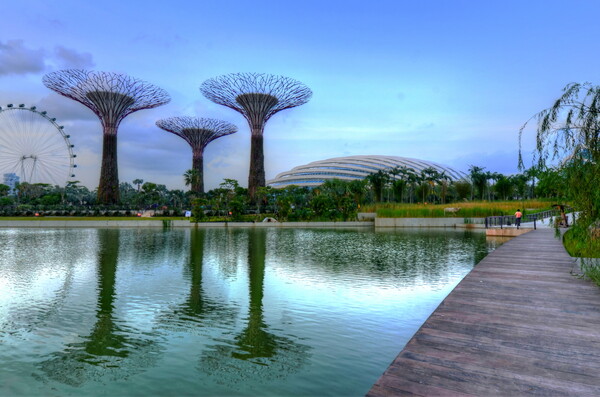 정원의 도시라는 계획으로 만든 거대한 열대정원, 가든스 바이 더 베이. 낮보다 밤이 더 아름다운 곳이다./사진 = 싱가포르관광청