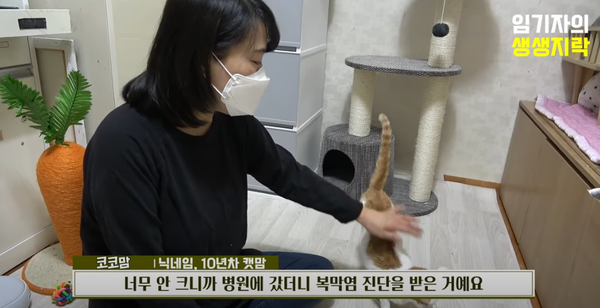 아픈 고양이를 돌보는 코코맘./사진=유튜브 '임기자의 생생지락TV' 화면 캡쳐