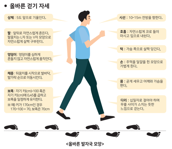올바른 걷기 자세./사진=한국건강증진개발원