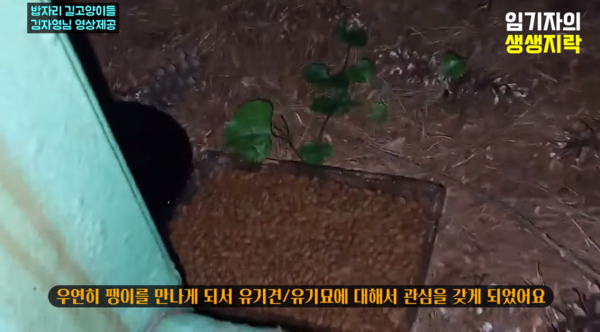 사진=유튜브 채널 '임기자의 생생지락TV' 화면 캡쳐
