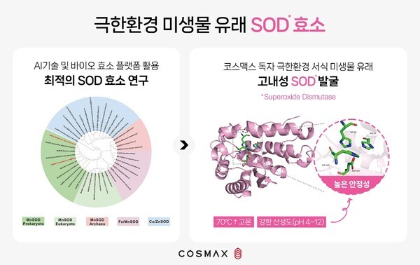 코스맥스, 항산화 효소 개발…고기능 화장품 시장 공략 본격화